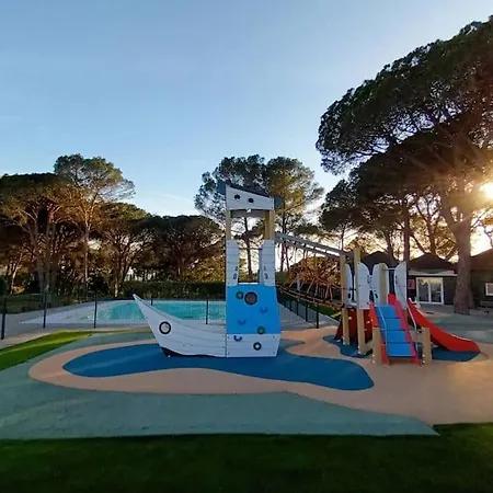 Le Papillon Maitiss Saint-Raphaël